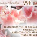 Promozione Azalea: Trattamento Corpo Sel De Gommage + Maschera Viso + Massaggio Circolatorio + Tisana Drenante