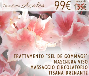 Promozione Azalea: Trattamento Corpo Sel De Gommage + Maschera Viso + Massaggio Circolatorio + Tisana Drenante Promozione Azalea: Trattamento Corpo Sel De Gommage + Maschera Viso + Massaggio Circolatorio + Tisana Drenante