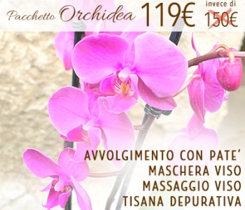 Pacchetto Orchidea: Avvolgimento con Patè Depurativo e Drenante + Maschera Viso + Massaggio Viso + Tisana Depurativa Pacchetto Orchidea: Avvolgimento con Patè Depurativo e Drenante + Maschera Viso + Massaggio Viso + Tisana Depurativa