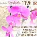 Pacchetto Orchidea: Avvolgimento con Patè Depurativo e Drenante + Maschera Viso + Massaggio Viso + Tisana Depurativa